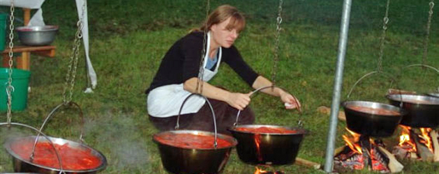 53. Fischgulaschessen der Donauschwaben in der Stadthalle Backnang 53. Fischgulaschessen der Donauschwaben in der Stadthalle Backnang