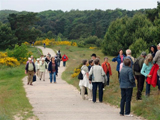 Jahresausflug 2007 - Donauschwaben Backnang