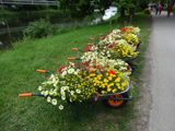 Die Backnanger Donauschwaben auf der Gartenschau 2013 in Sigmaringen